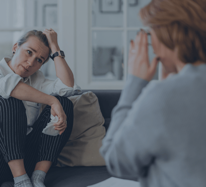 Ambiente seguro y acogedor Ambiente seguro y acogedor