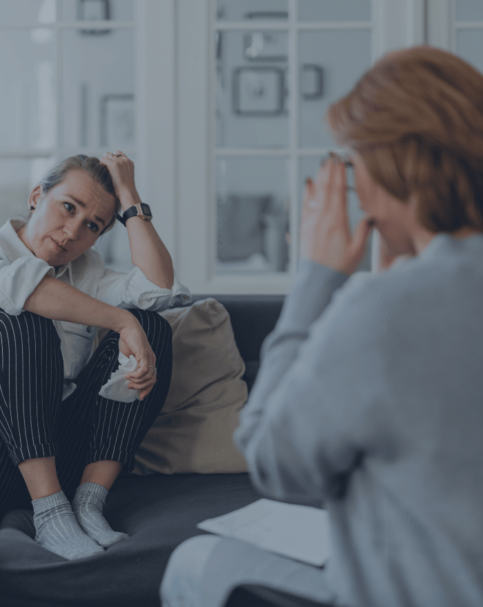 Ambiente seguro y acogedor